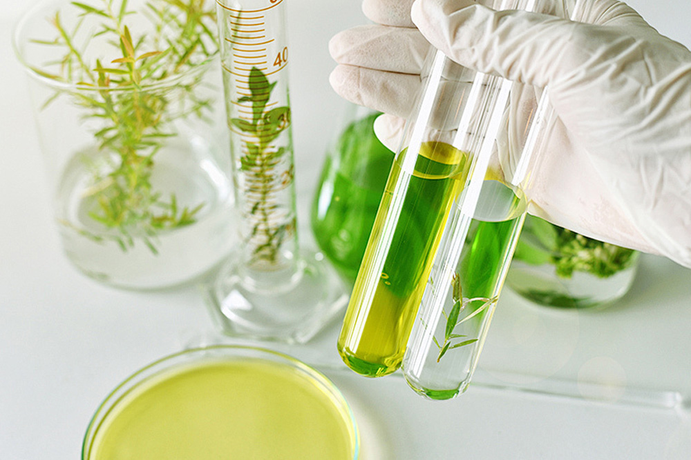 什么是植物提取物?今天带大家来了解一下